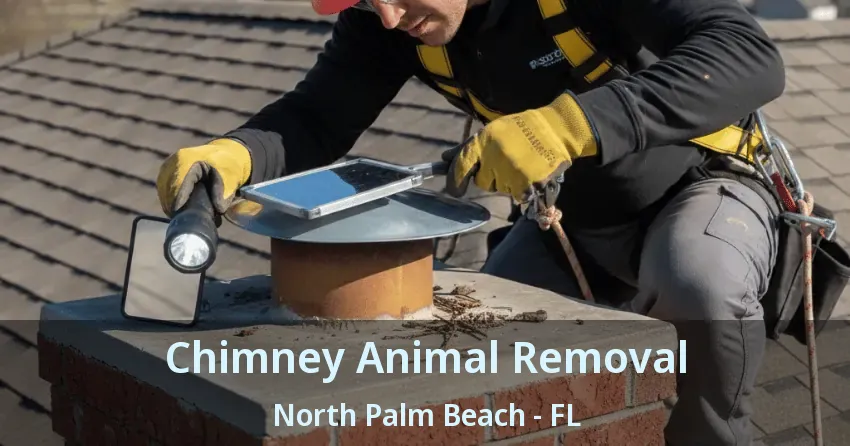 Chimney Animal Removal North Palm Beach - FL