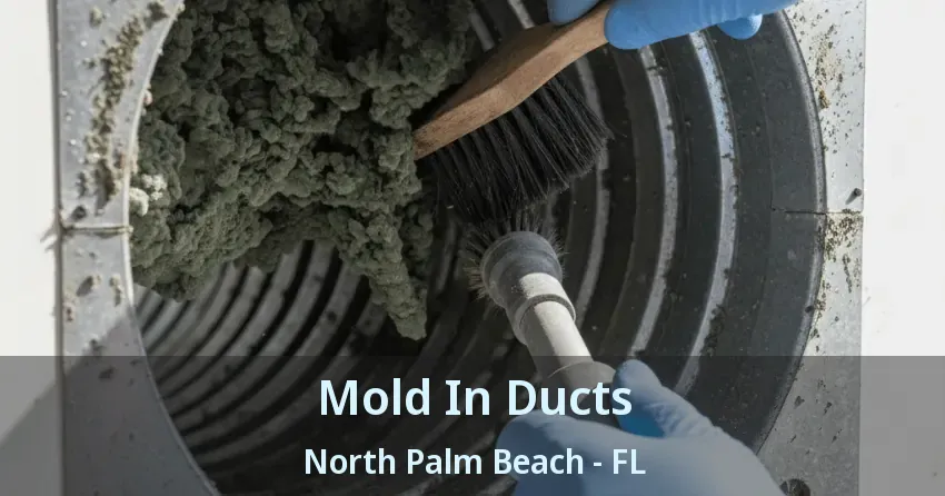 Mold In Ducts North Palm Beach - FL Mold In Ducts North Palm Beach - FL
